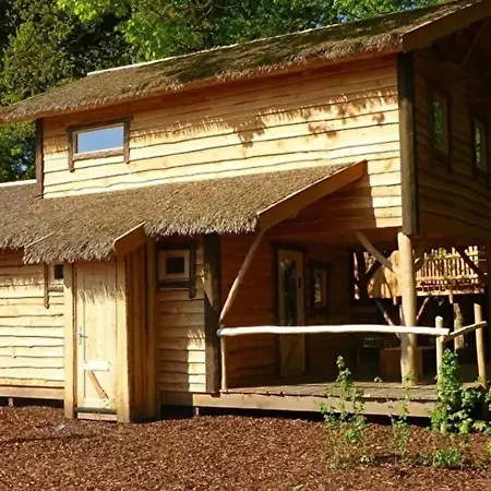 Vakantiehuis Boshuis Dora - Gezinshuis Met Escapespel Op D'n Mastendol - *