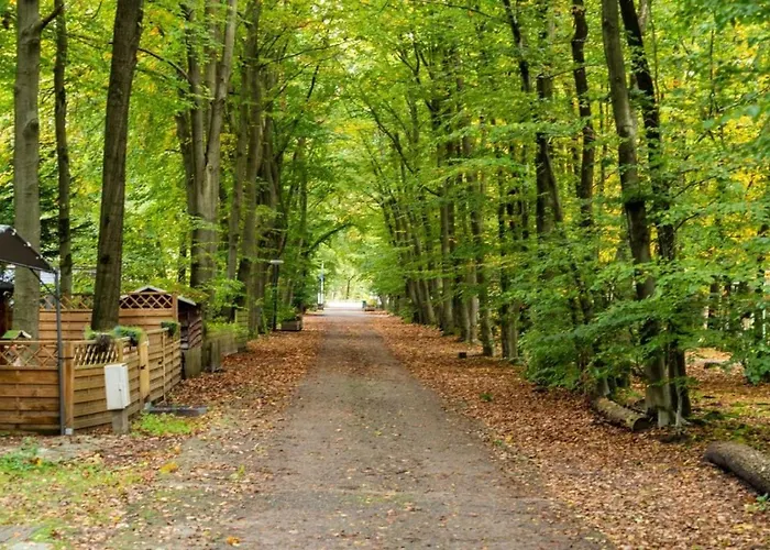 Boshuis Dora Met Escapespel Op Recreatiepark D'n Mastendol 펜션 *