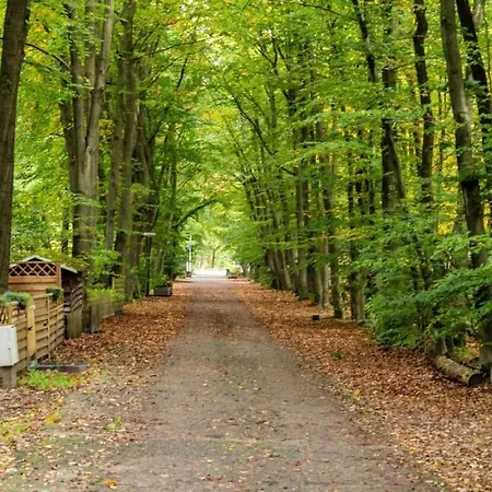 Boshuis Dora Met Escapespel Op Recreatiepark D'n Mastendol Hébergement de vacances *